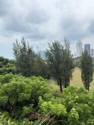 Sanctuary Green (D15), Condominium #546134541